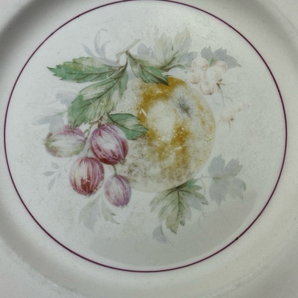 Johnson Bros Square Plates Made in England Pastel Border Fruit Designs 7.5” - Picture 7 of 11